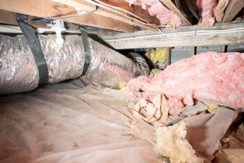 Fallen fiberglass insulation on crawl space floor